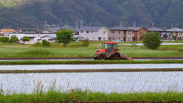 稻田里的拖拉机视频素材