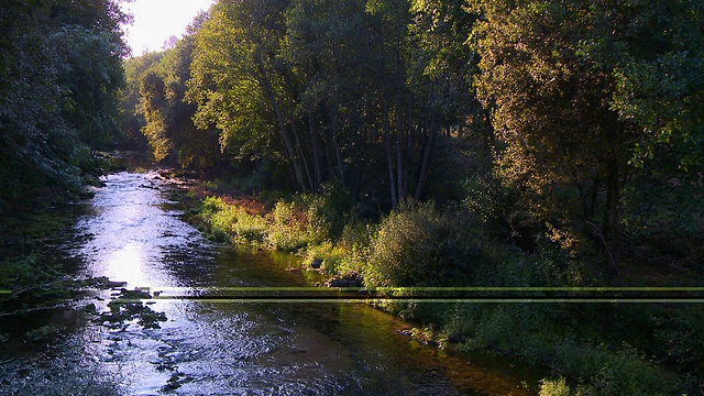 河流在山林中视频素材