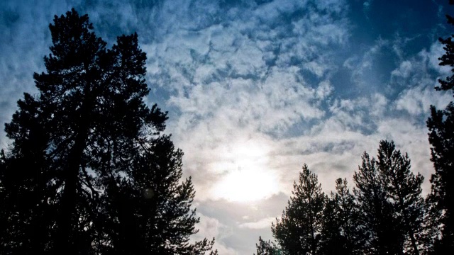 乌云和太阳笼罩着森林视频素材