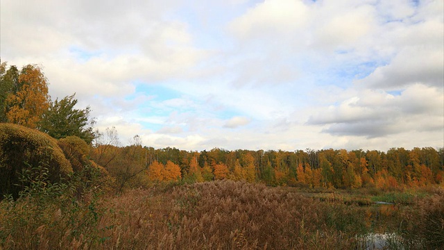 秋天的森林间隔拍摄视频下载