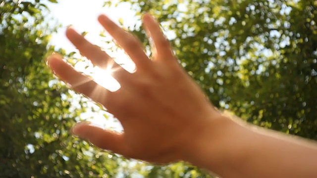 阳光透过手指的手掌视频素材