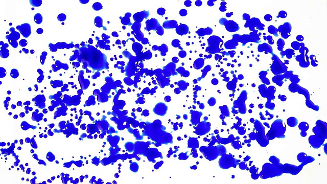 蓝墨水滴雨，孤立在白色背景视频素材