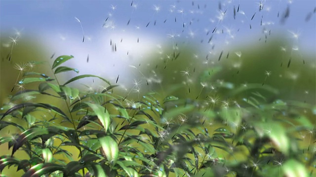 动画背景与移动的植物和飞行的蒲公英群视频素材