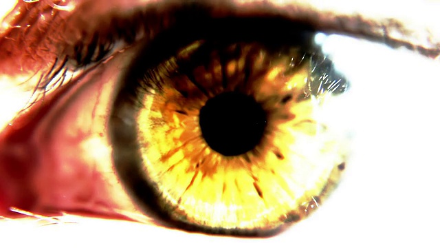 瞳孔扩张的人眼球。详细的眼球视频下载