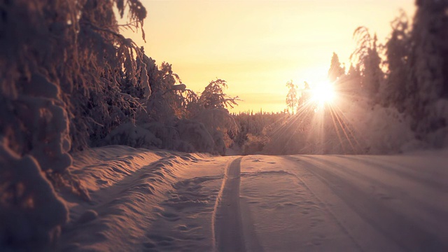 美丽的太阳在冬日的森林中升起视频下载