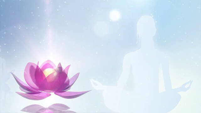 Lotus冥想视频素材