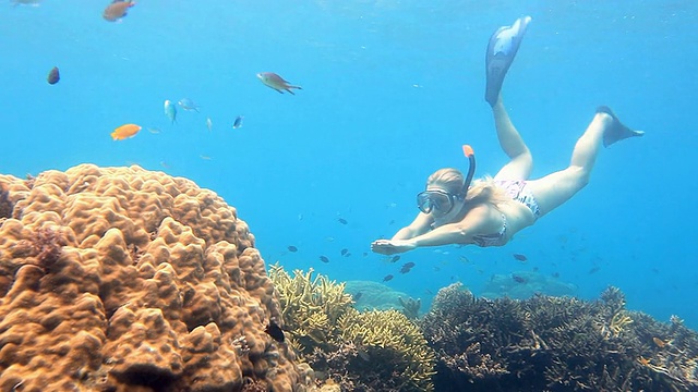 年轻女子潜水到珊瑚礁视频素材
