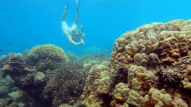年轻女子潜水到珊瑚礁视频素材