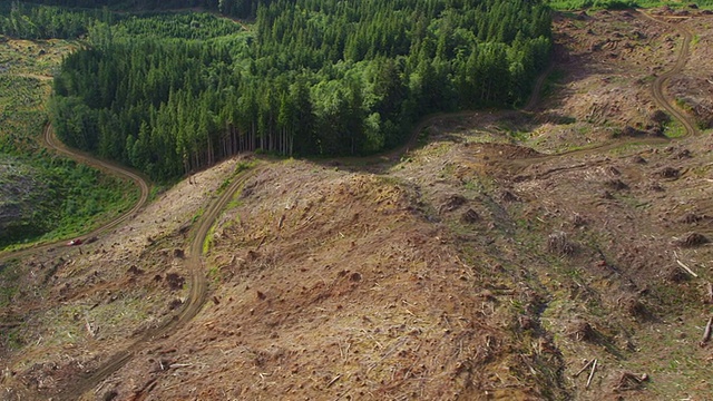 俄勒冈森林砍伐，航拍视频素材