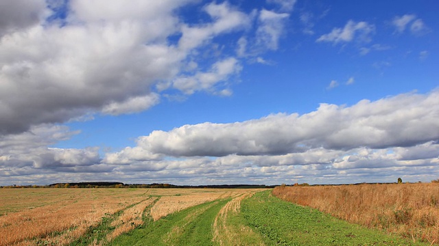 秋天黄色的田野上，白云在蓝色的天空上飞翔视频素材