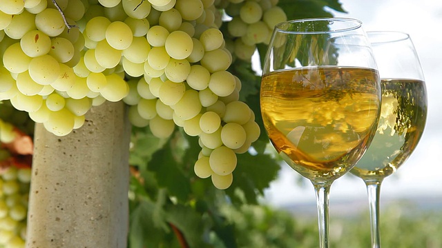 白葡萄和葡萄酒杯视频素材
