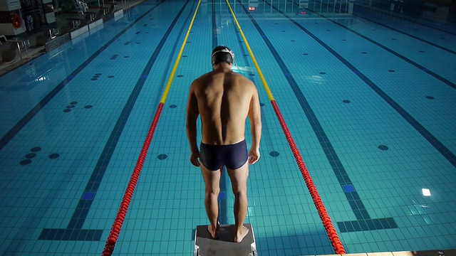 职业游泳运动员的鸟瞰图视频素材
