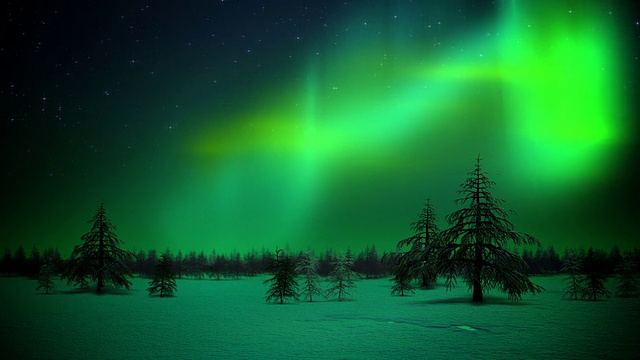 北极光在森林循环视频素材