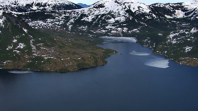 飞越阿拉斯加的森林和湖泊视频素材