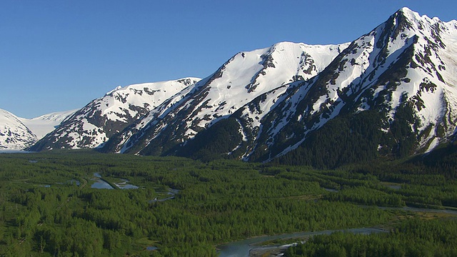 空中拍摄的森林溪流和雪山，阿拉斯加视频下载
