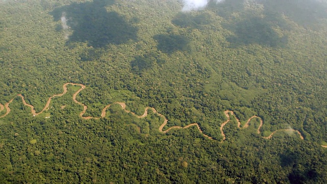 亚马逊雨林鸟瞰图视频下载
