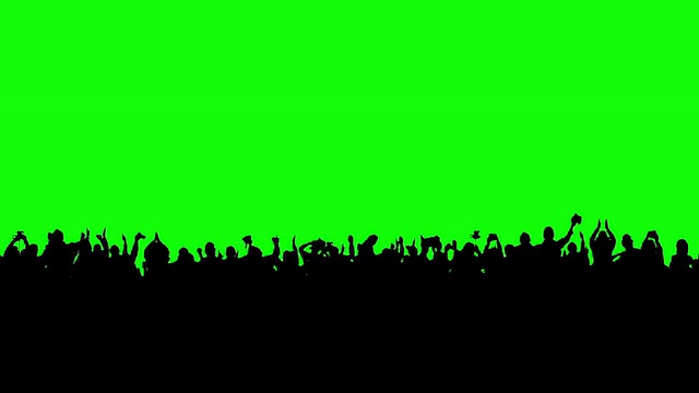 群人。绿色的屏幕。视频素材
