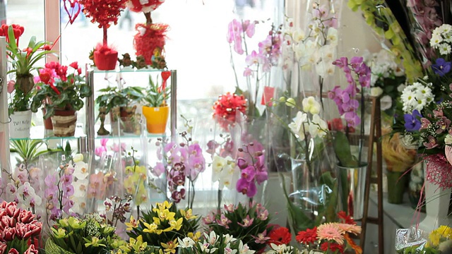 顾客在花店选购鲜花礼品视频素材