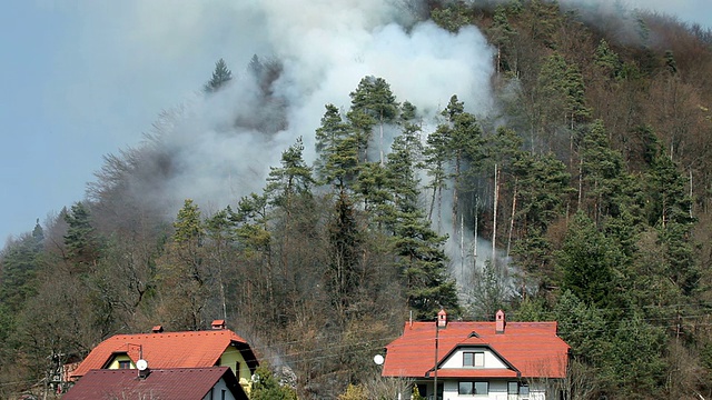 HD股票:危险的烟雾在森林，附近的房子视频素材