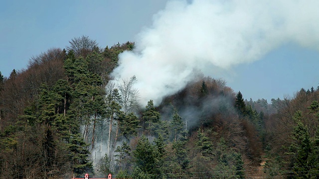 HD STOCK:自然灾害，森林烟雾视频素材