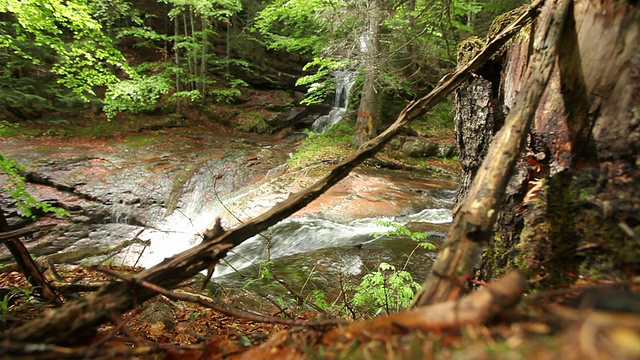 瀑布在森林视频素材