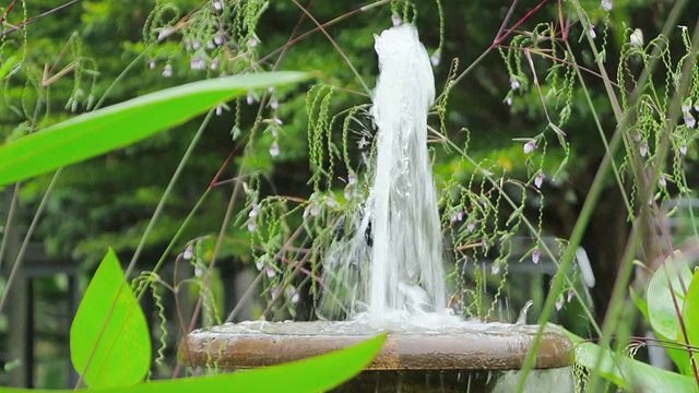 热带花园喷泉视频素材
