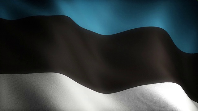 爱沙尼亚旗视频素材