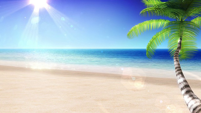 大海和太阳。热带海滩，棕榈树。毛圈。视频素材