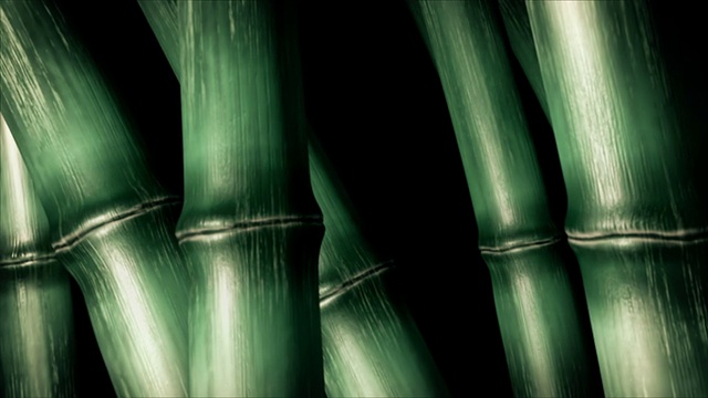 竹灌木丛视频下载