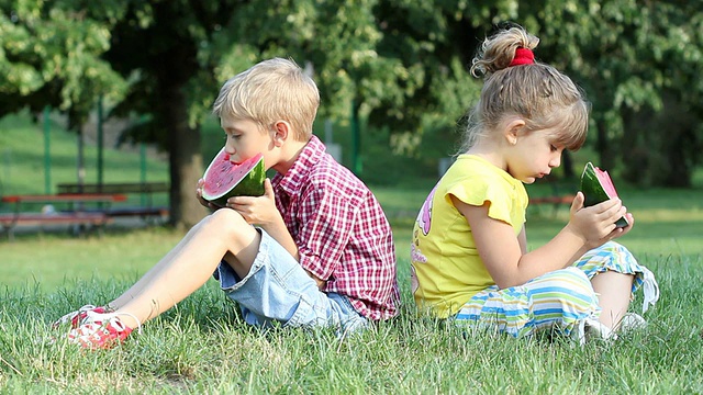 男孩和小女孩在公园里吃西瓜视频素材