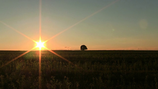 夕阳在田野与寂寞的树。朋友间隔拍摄视频素材