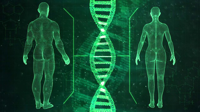 绿色DNA串，男女角色可循环高清视频素材