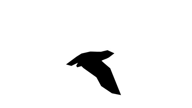 动画飞行多边形黑鸟在白色的背景视频素材