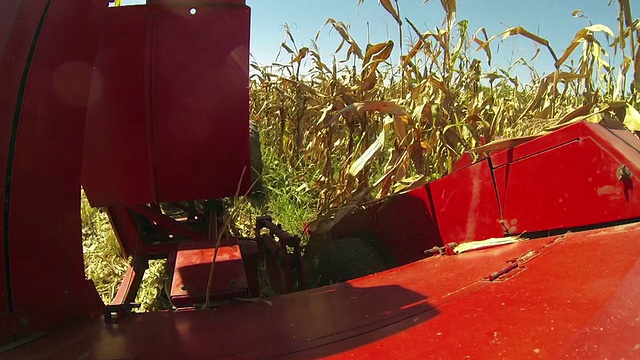 塞尔维亚农田里的玉米收获视频素材