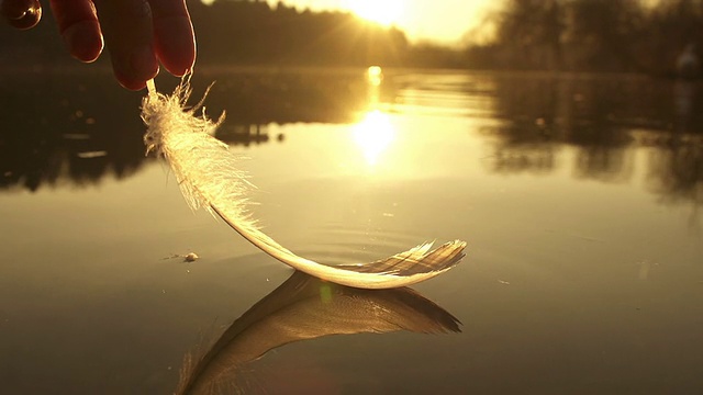 慢动作:把羽毛从水里拿出来视频素材