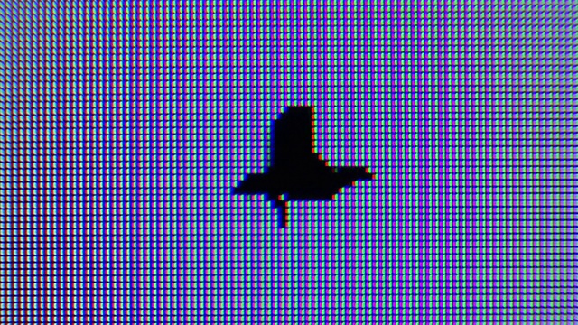 动画飞行多边形黑鸟在电脑屏幕上视频素材