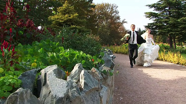 公园里的新婚夫妇视频素材