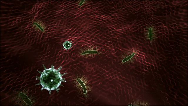 病毒和细菌视频素材