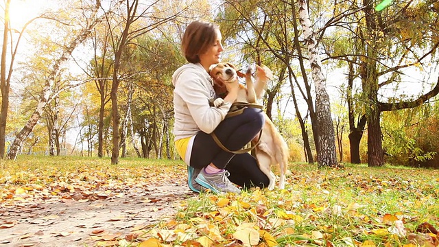 秋天的公园里，女孩和小猎犬狗玩耍视频素材