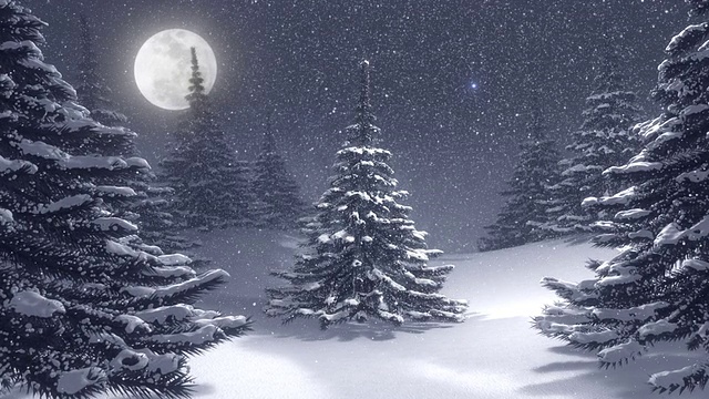 冬季景观与白色圣诞树装饰的北极星。视频素材