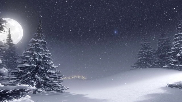 冬季景观与白色圣诞树和文字空间。视频素材