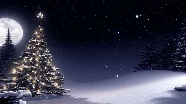圣诞树的夜晚与文字空间。视频素材
