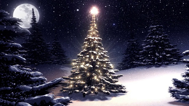 圣诞树在晚上装饰的北极星。视频素材