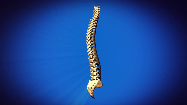 脊椎/脊柱-完全旋转视频素材