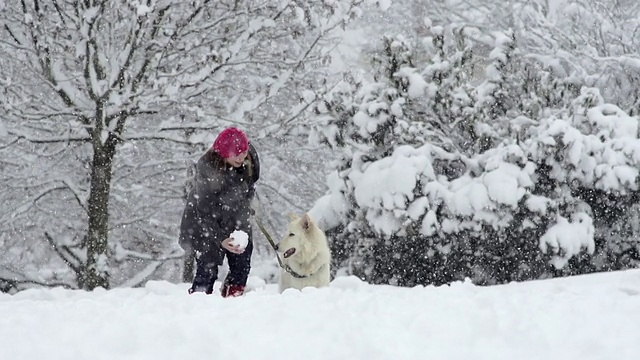 慢动作:女孩向她的白色瑞士牧羊犬扔雪球视频素材