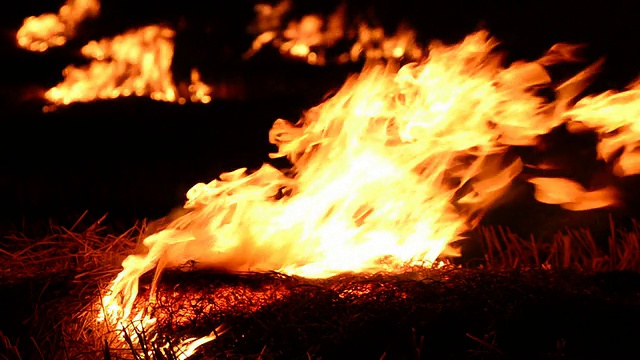 用木头和腿烧火。视频素材