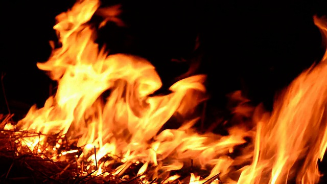 大的真火在晚上燃烧视频素材