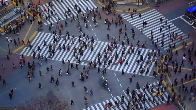 东京涩谷市行人交通视频下载