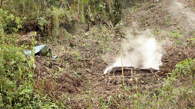 厄瓜多尔热带雨林中的木炭燃烧视频素材