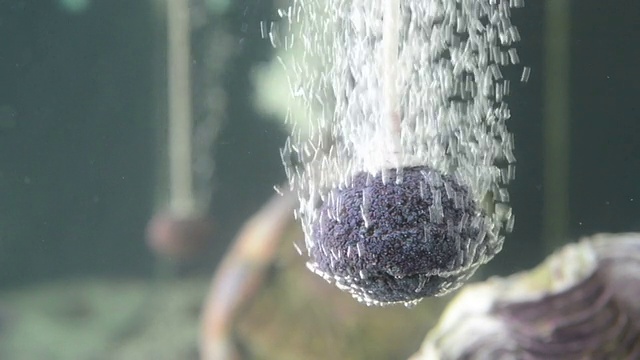 氧气在水下冒泡视频素材